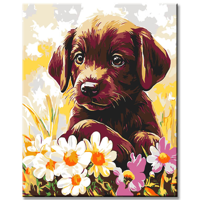 Malen nach Zahlen Hund im Blumenfeld