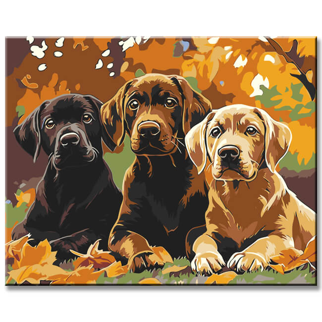 Grind to pay 3 dogs