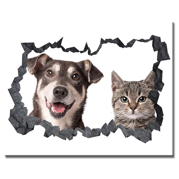 Malen nach Zahlen Kunst 3D Hund und Katze gucken aus der Wand