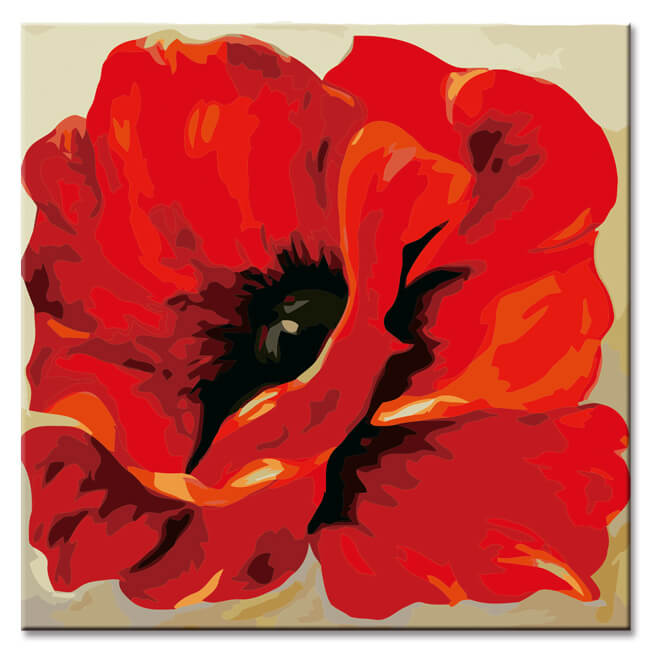 Malen nach Zahlen Klatschmohn Coquelicot Versand aus DE