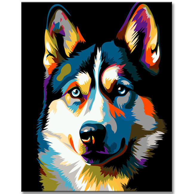 Malen nach Zahlen - Siberian Husky - Exklusives Kunstset bei uns