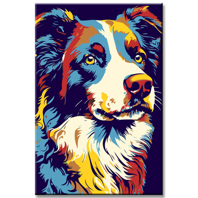 Bunte Border Collie - Malen nach Zahlen