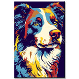 Bunte Border Collie - Malen nach Zahlen