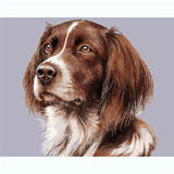 Malen nach Zahlen Hunde Irish Setter