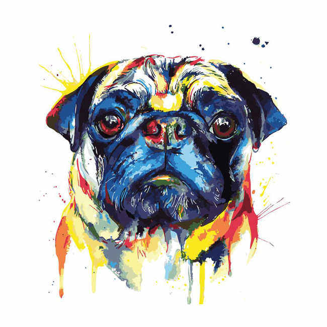 Malen nach Zahlen Hund Mops Portrait Moderne Tierkunst